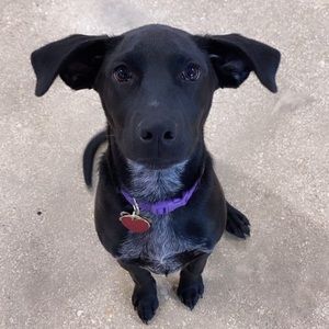 Meet your Posher, Shannon